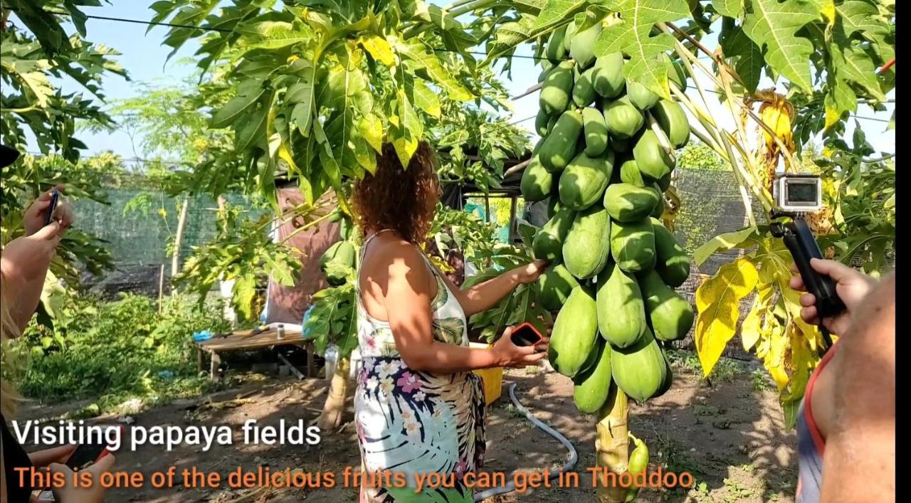 Thoddoo Beach Holiday Bagian luar foto