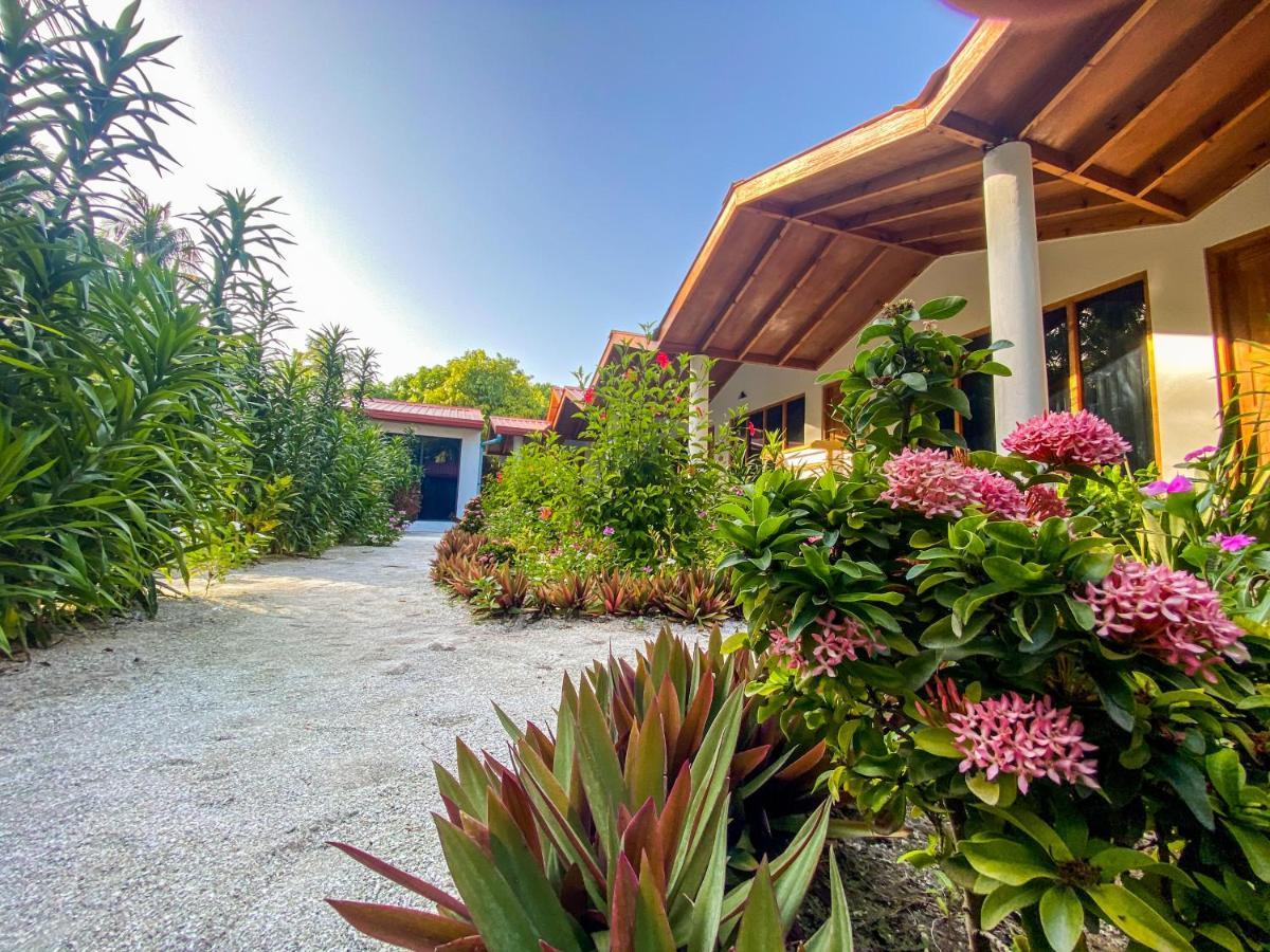 Thoddoo Beach Holiday Bagian luar foto