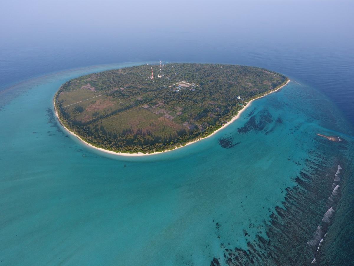 Thoddoo Beach Holiday Bagian luar foto