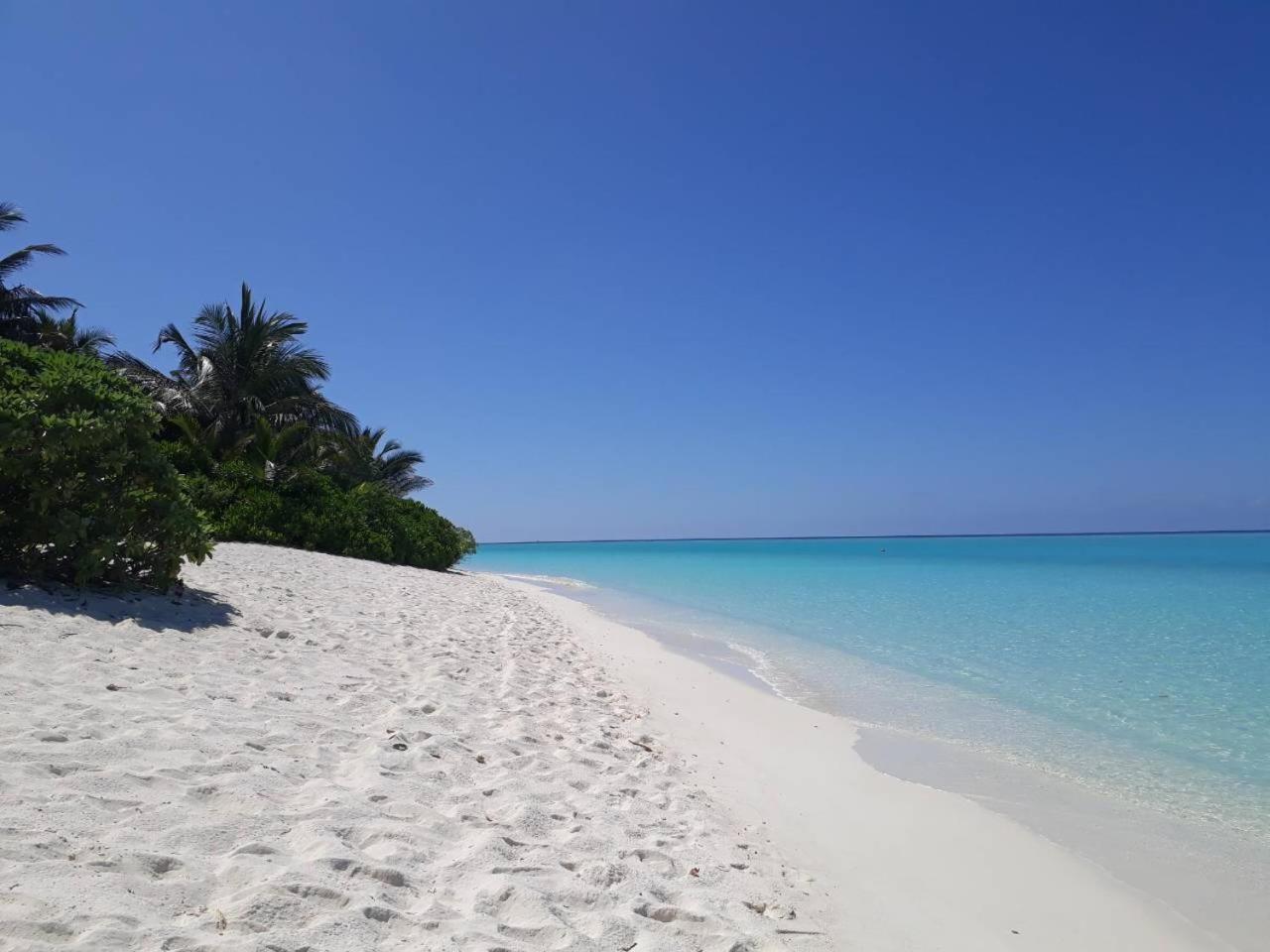Thoddoo Beach Holiday Bagian luar foto