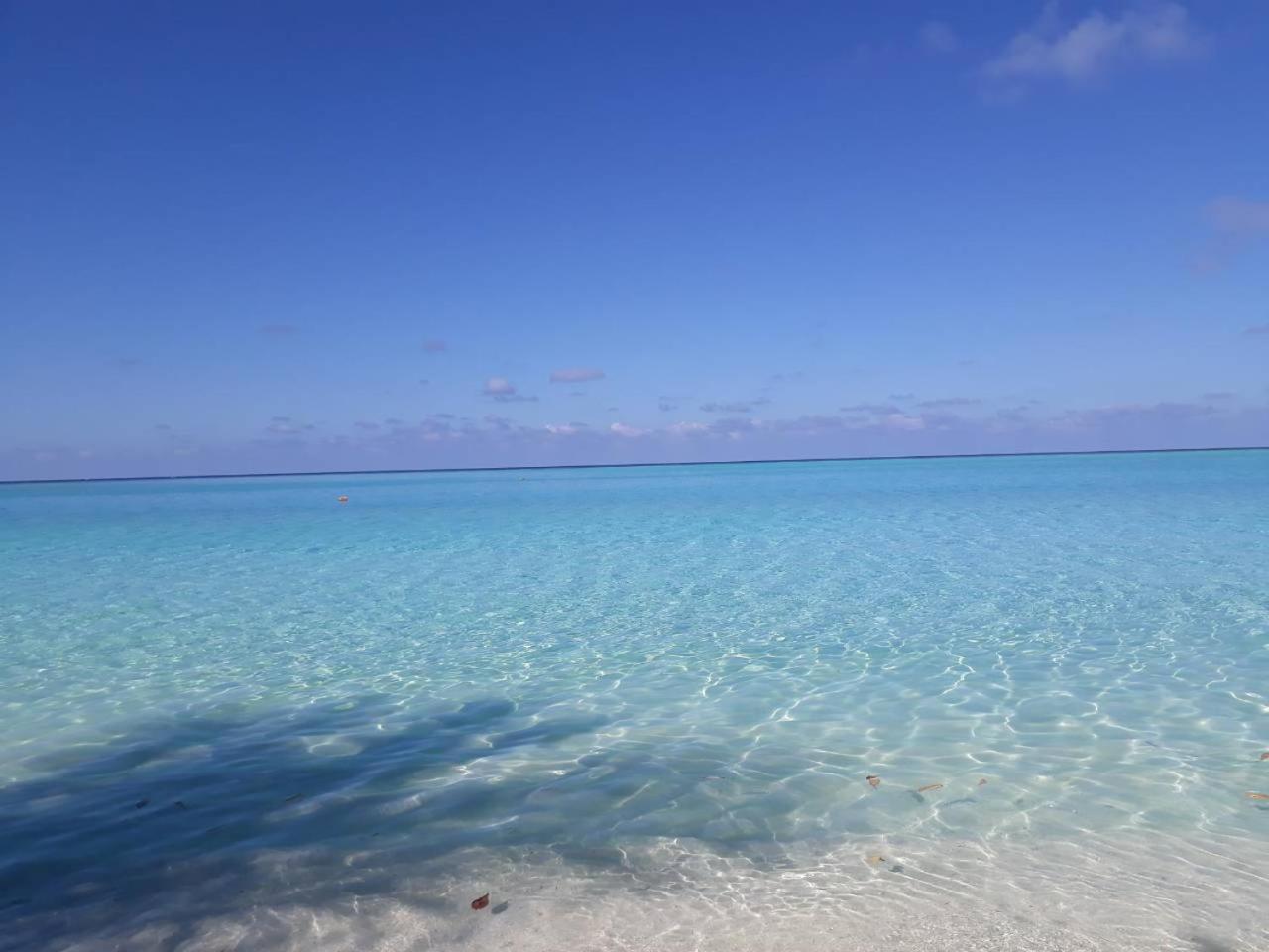 Thoddoo Beach Holiday Bagian luar foto