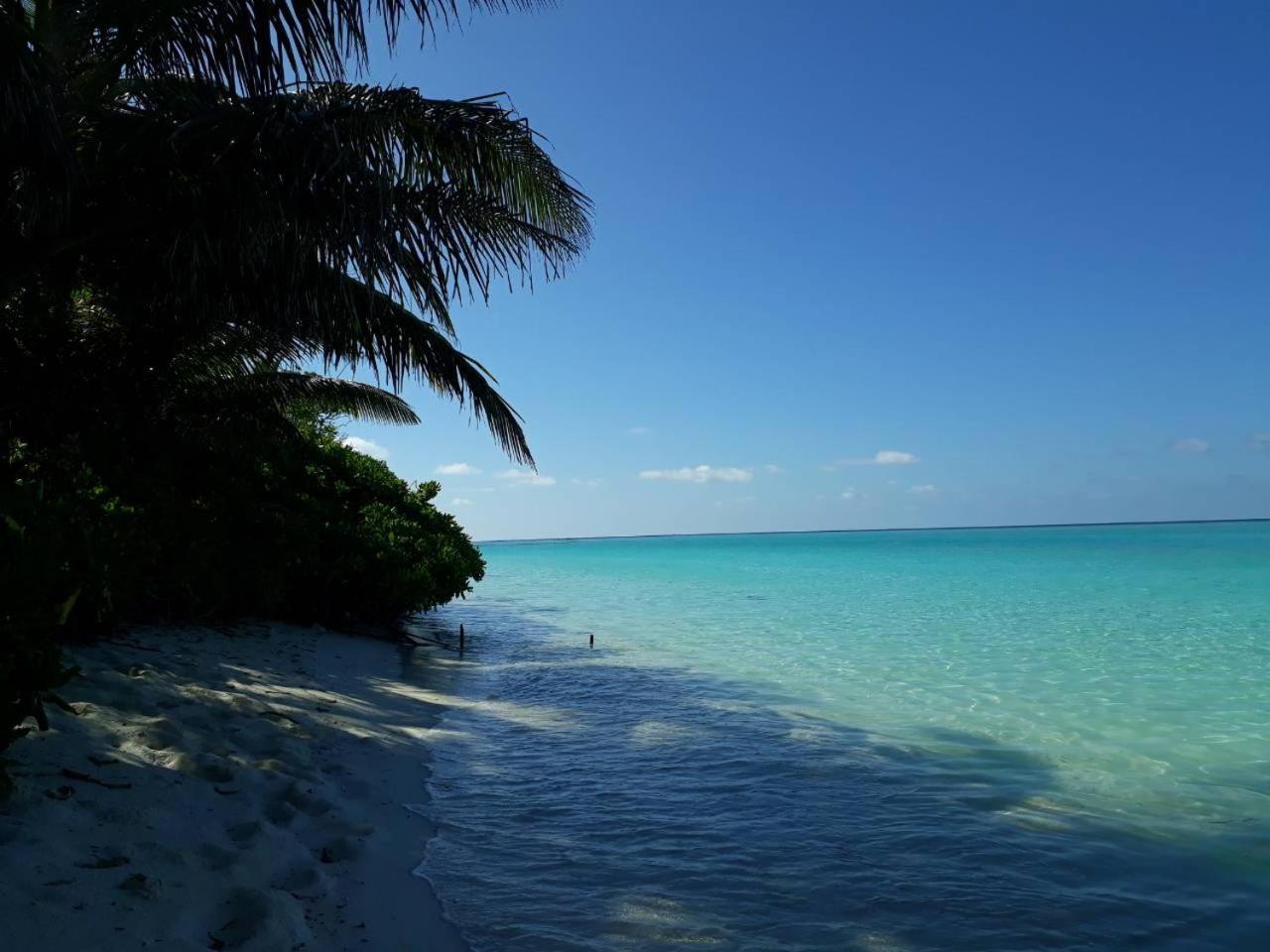 Thoddoo Beach Holiday Bagian luar foto
