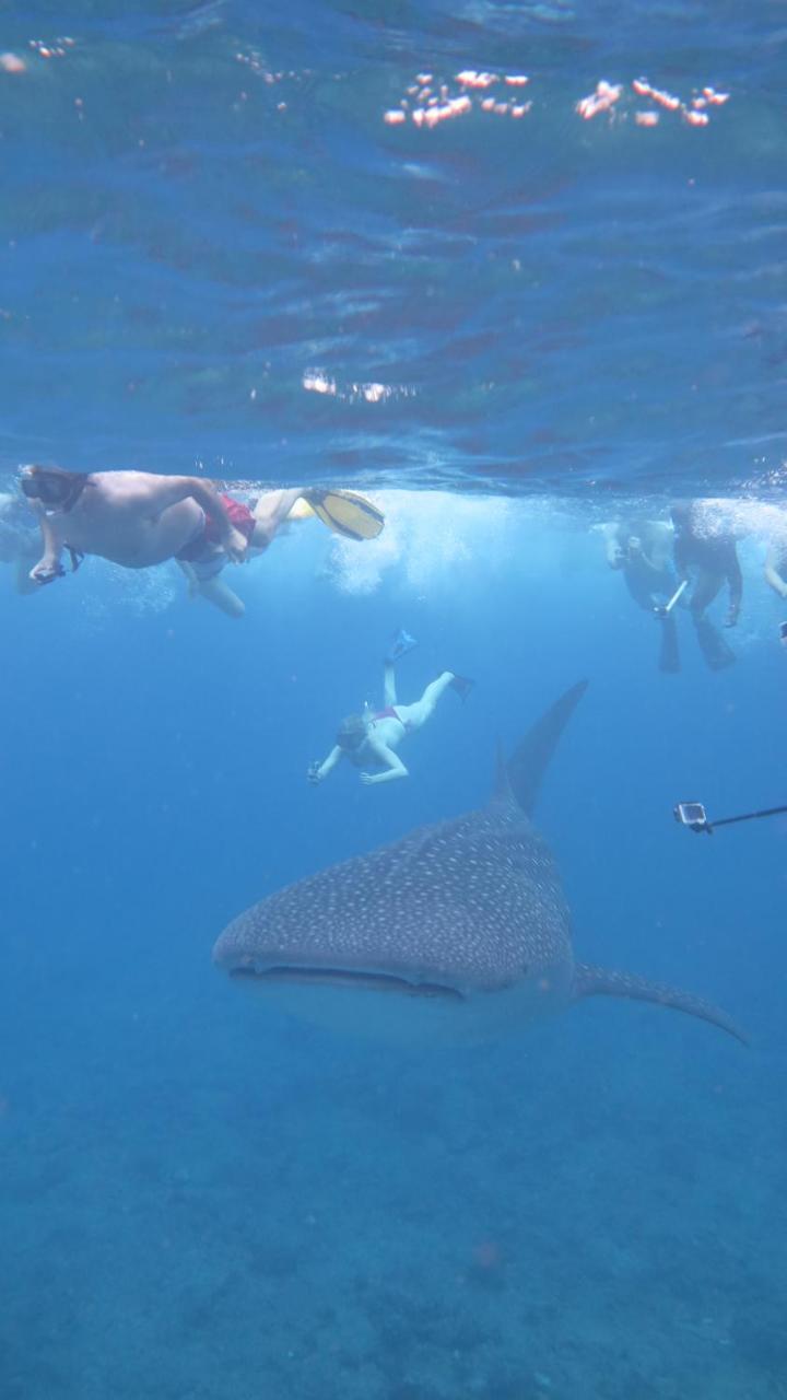 Thoddoo Beach Holiday Bagian luar foto